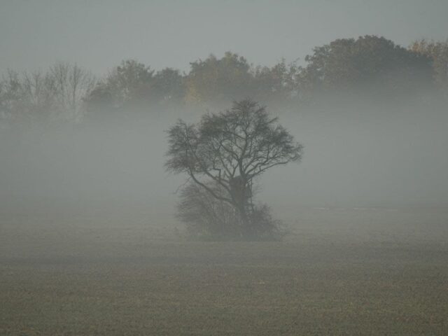 Nebel